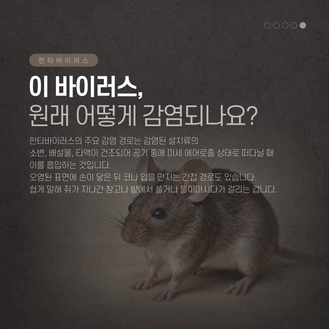 553f1be273ec447d998255124e3e8125_1779966530_9656.png