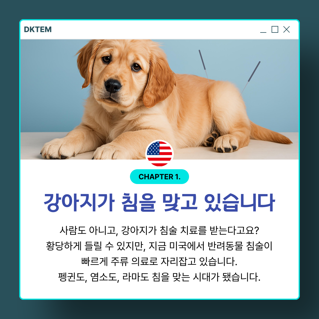 cacf6d9ab7bf1dacb5146d76376b5b04_1779348460_5855.png