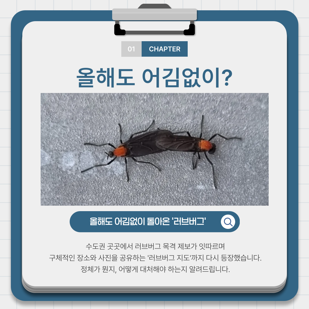 5b6e1725c3075544207d2fcf55e6a0cf_1782282351_4919.png
