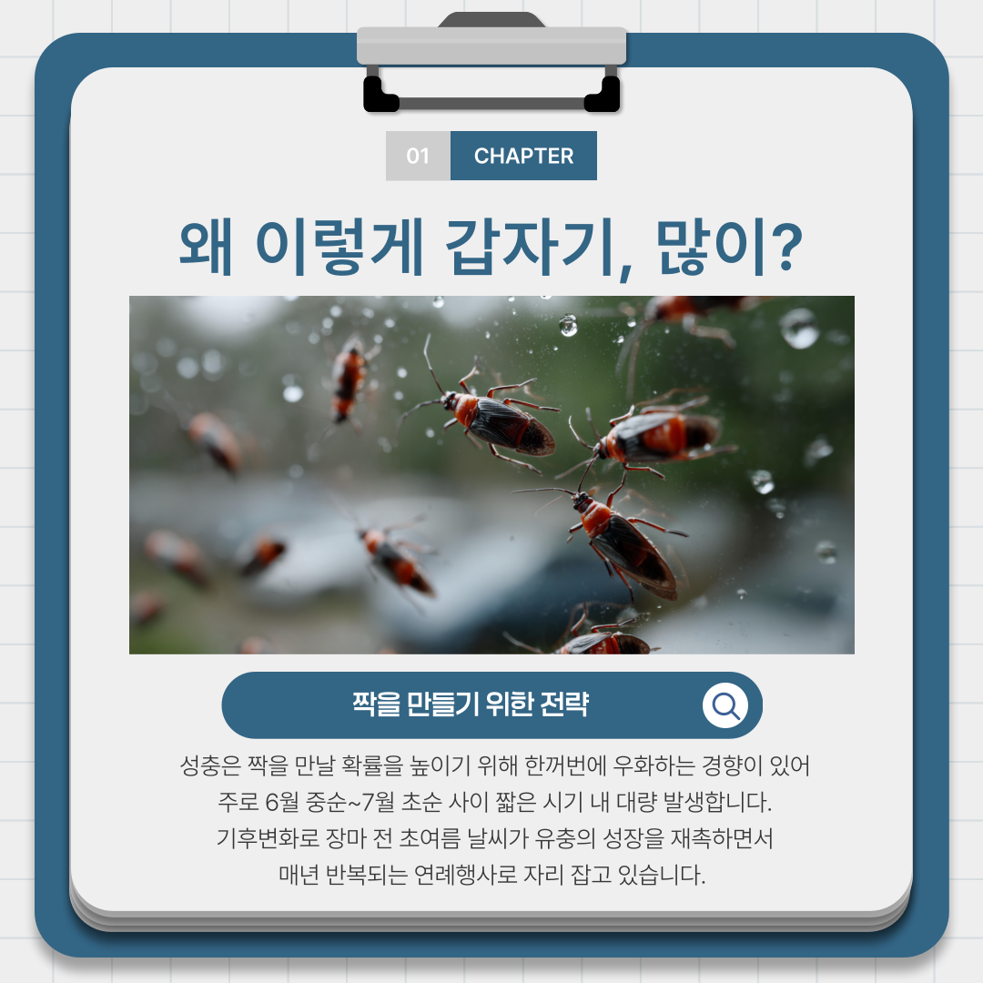 5b6e1725c3075544207d2fcf55e6a0cf_1782282351_7682.png