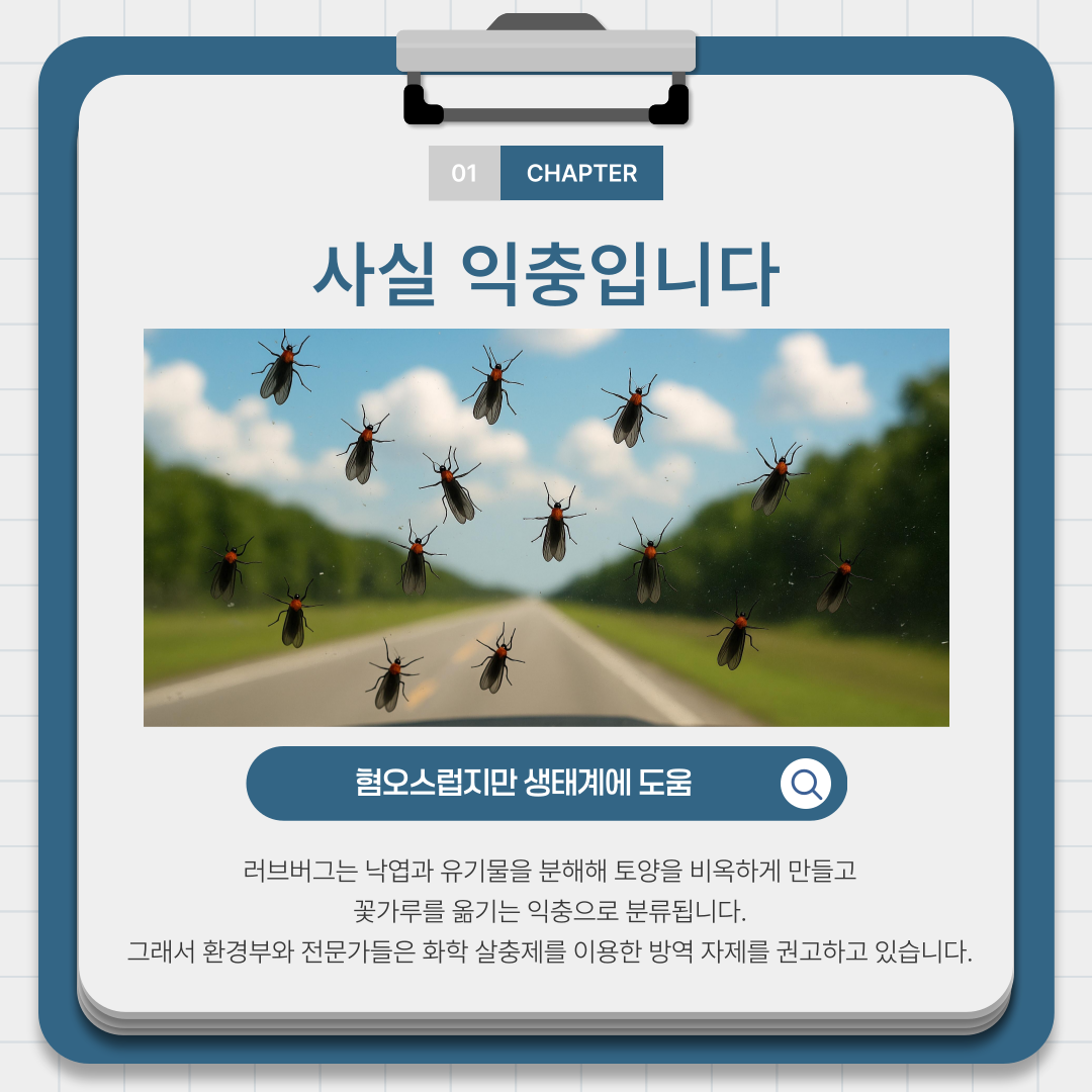 5b6e1725c3075544207d2fcf55e6a0cf_1782282351_9468.png