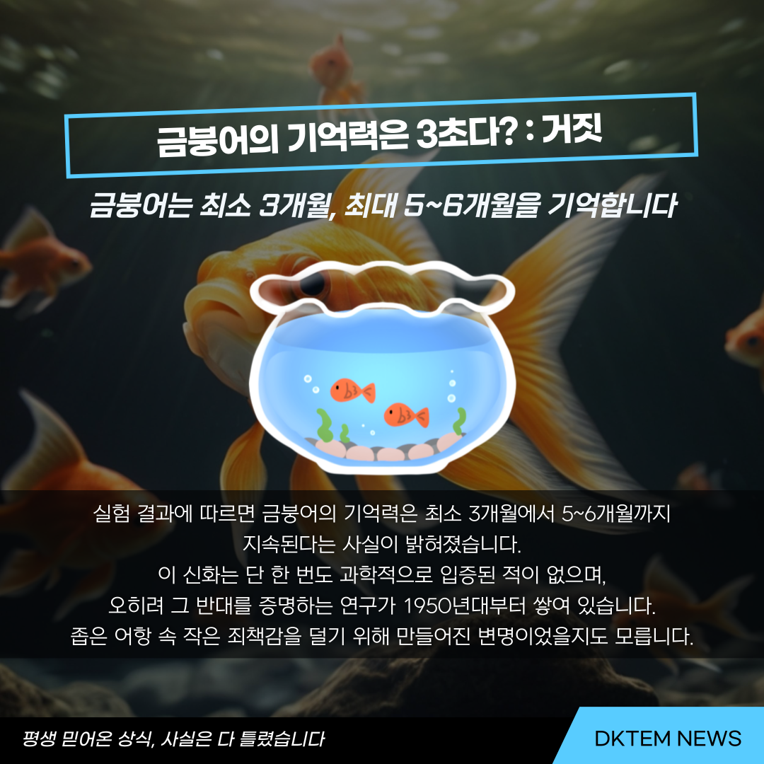 ac21d5be88d117fa5715fce26e2e8edb_1781679968_3787.png