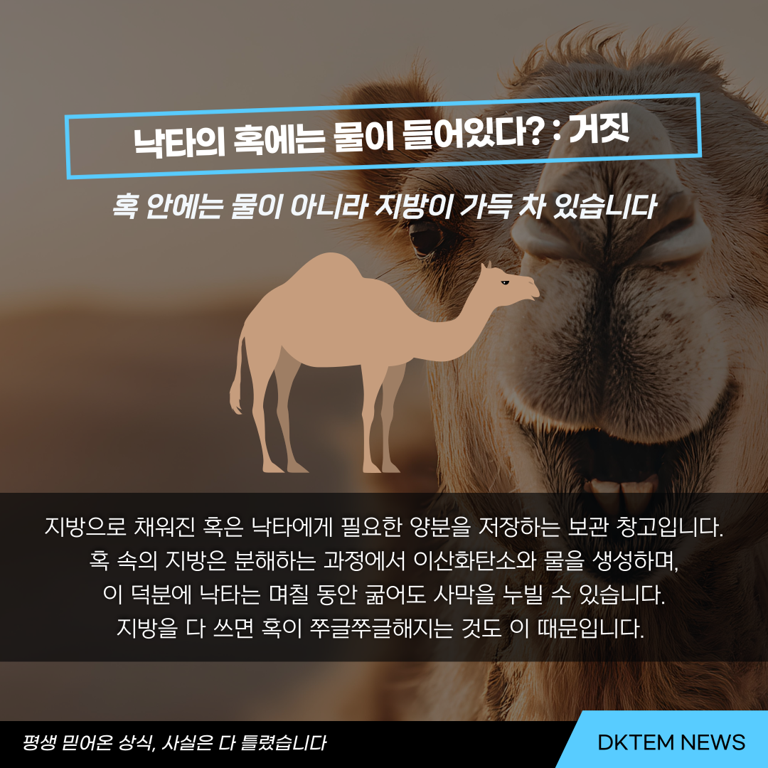 ac21d5be88d117fa5715fce26e2e8edb_1781679968_5476.png