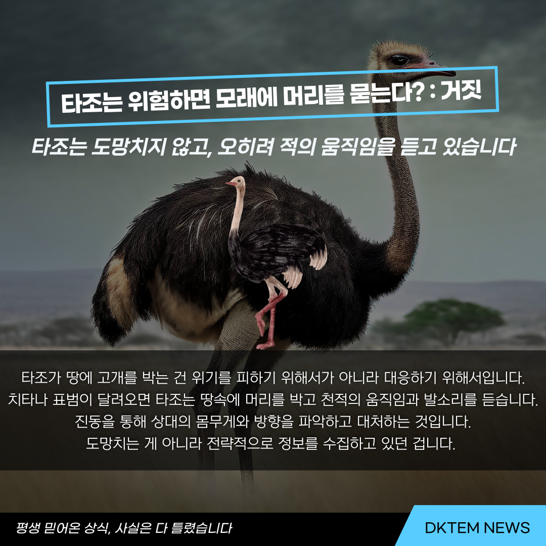 ac21d5be88d117fa5715fce26e2e8edb_1781679968_9486.png