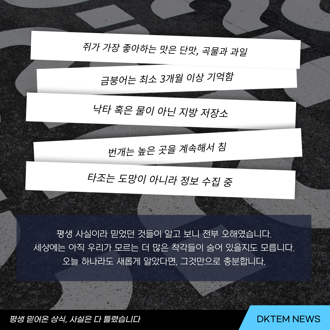 ac21d5be88d117fa5715fce26e2e8edb_1781679969_3184.png