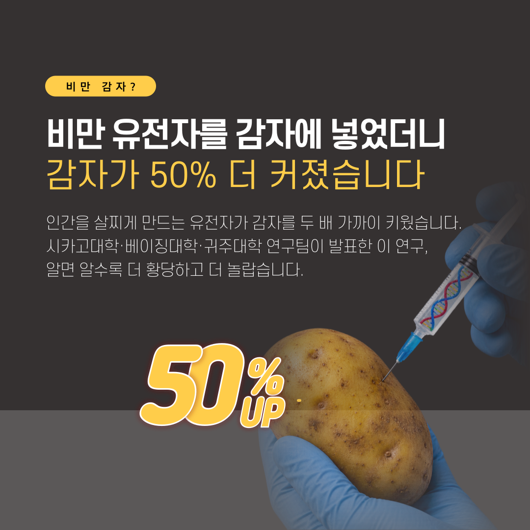 05cfddeda32f5160814afbff5ebe064c_1786682144_73.png