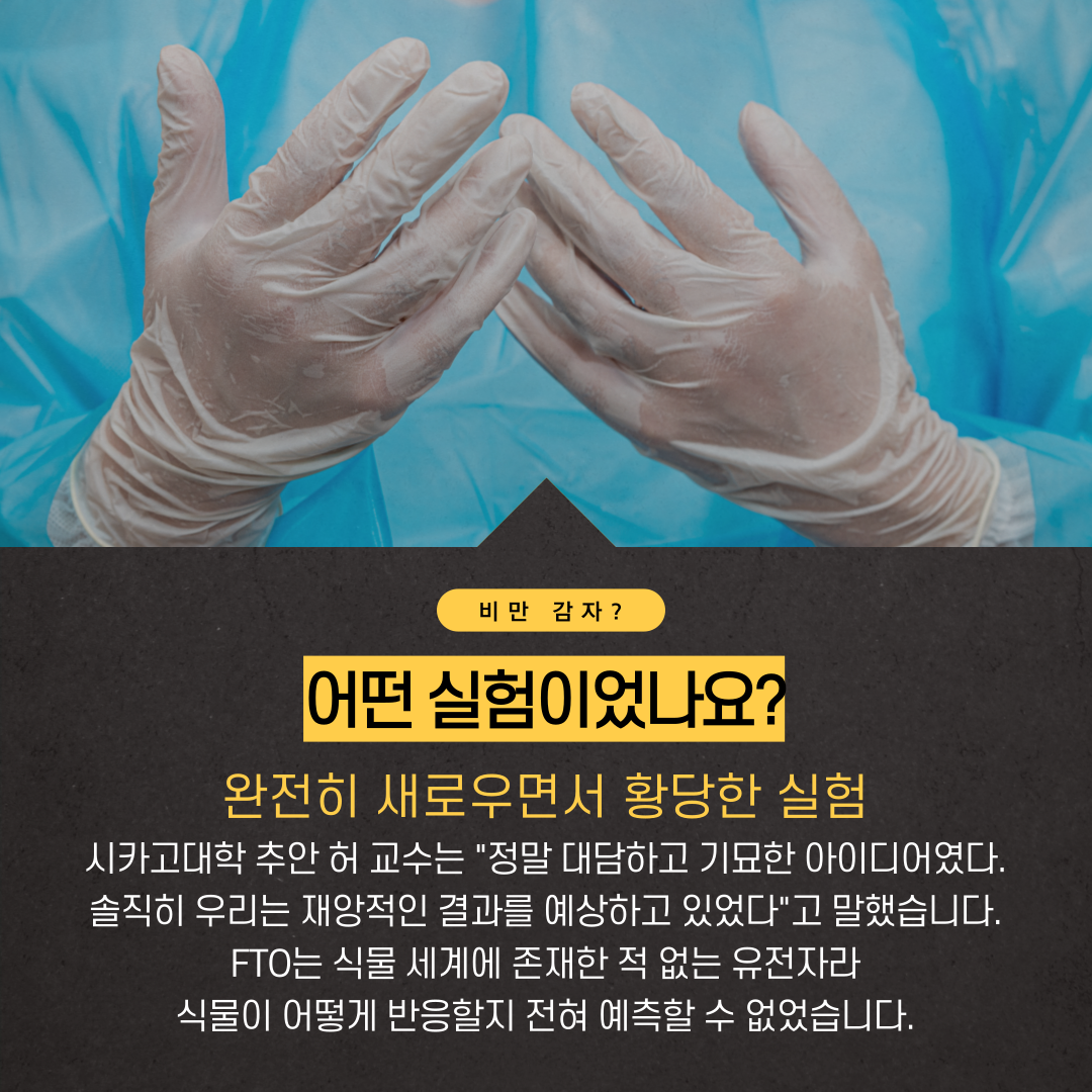05cfddeda32f5160814afbff5ebe064c_1786682145_0116.png