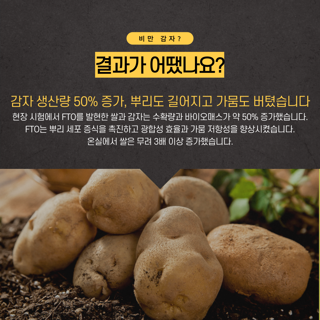 05cfddeda32f5160814afbff5ebe064c_1786682145_1854.png