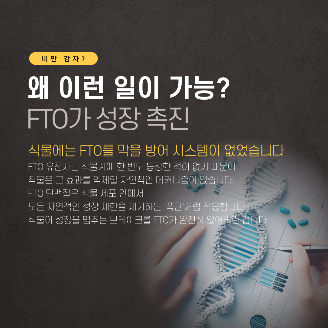 05cfddeda32f5160814afbff5ebe064c_1786682145_3398.png