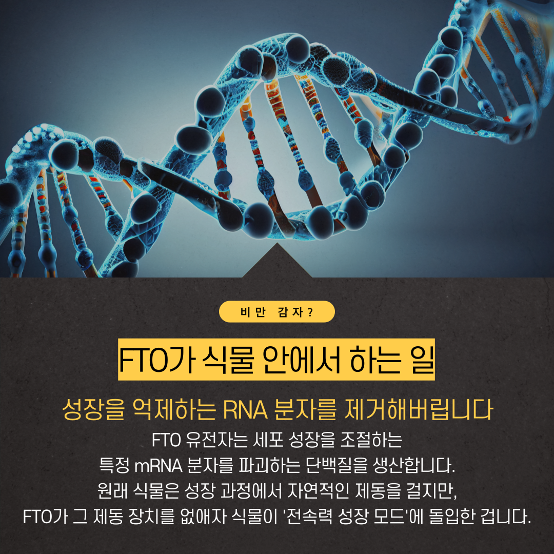 05cfddeda32f5160814afbff5ebe064c_1786682145_4849.png